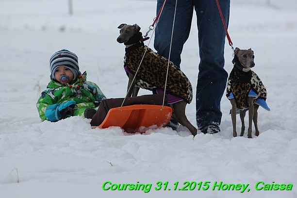 Coursing Hrdonov 31.1.2015 (16)